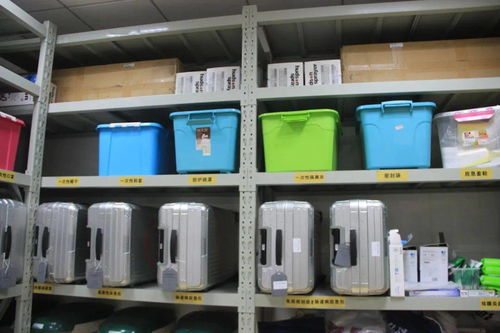 進(jìn)博會,閔行的防疫怎么做 看,獨(dú)家揭秘