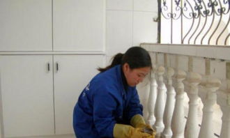 專業(yè)保潔服務(wù)全解析 從家庭到工廠，從基礎(chǔ)到精細(xì)